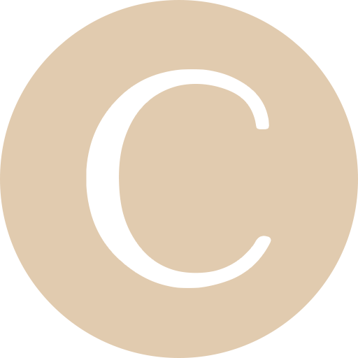 COSYS 慢半拍 logo